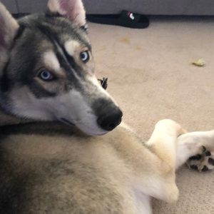 Meet your Posher, Aimee